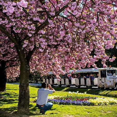 Bequem Eingerichtete Mit Grossem Garten By Interhome Apartament *