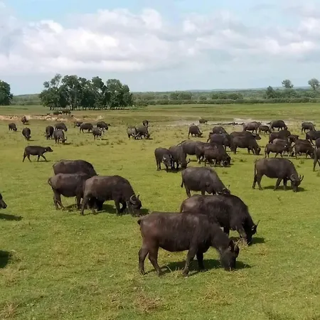 Apartament Bequem Eingerichtete Mit Grossem Garten By Interhome