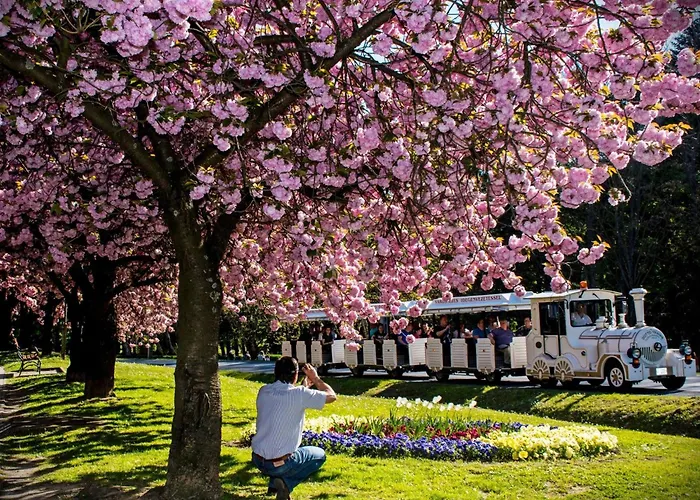 Bequem Eingerichtete Mit Grossem Garten By Interhome דירה *