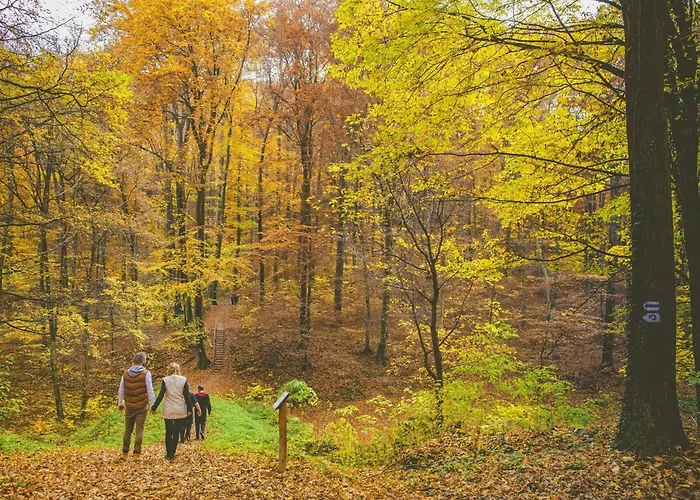 דירה Bequem Eingerichtete Mit Grossem Garten By Interhome