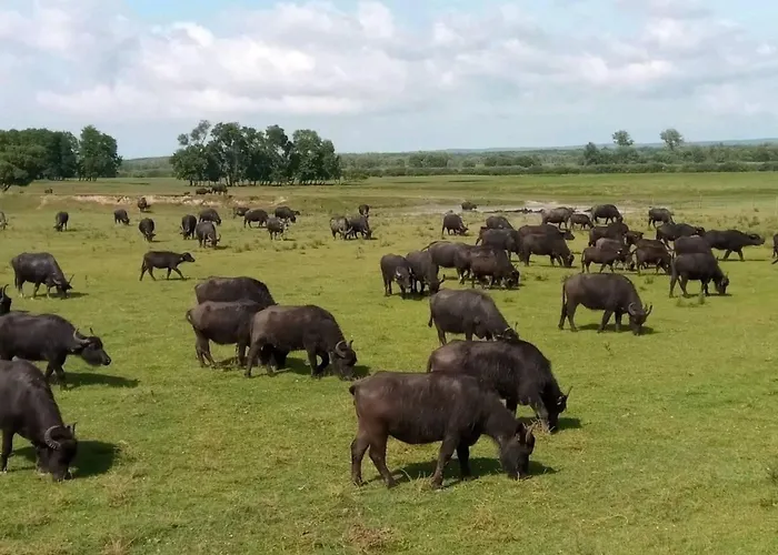 Апартаменты Bequem Eingerichtete Mit Grossem Garten By Interhome